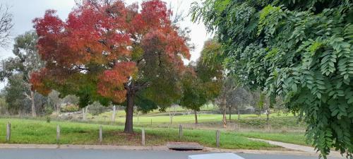 Sweet Home By The Golf Course