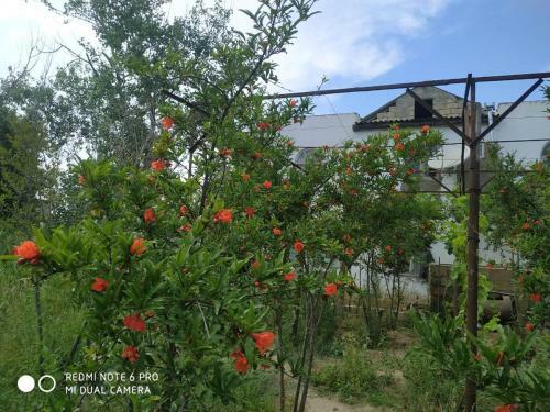 Hostal Guest House Novxani