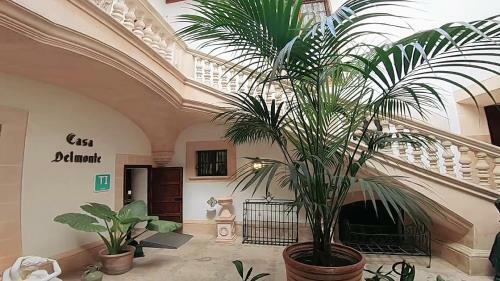 Hotel Casa Delmonte - Turismo de Interior