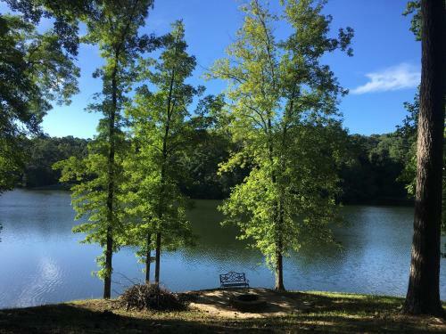 Spring Hill Lake House Apartment