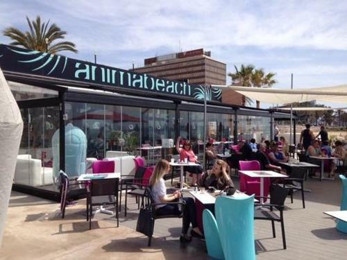Apartamento Palma Ciudad Y Playa