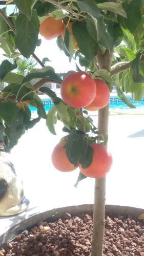 Agroturismo El Pilar de Don Gregorio
