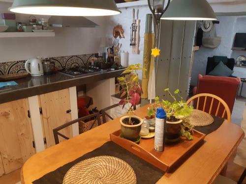 Casa Shyshka Country Cottage
