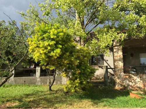 Lodge Chalet En Monta�a Con Piscina Privada