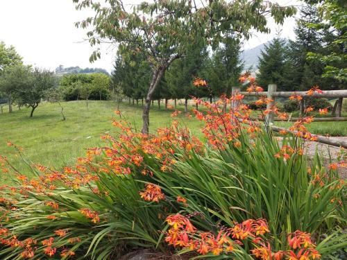 Agroturismo La Casona De Sovi�a
