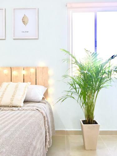 Apartamento Cara�be Mexicain
