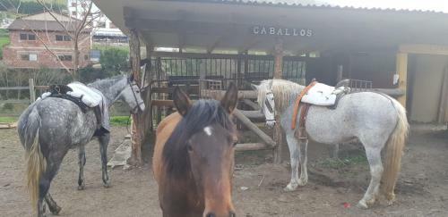 Apartamento La Hacienda Del Campo