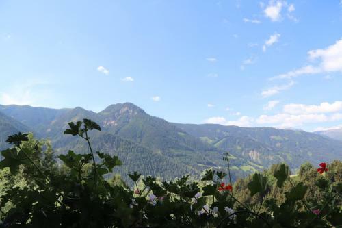 Hostal Pension Bichlgeiger