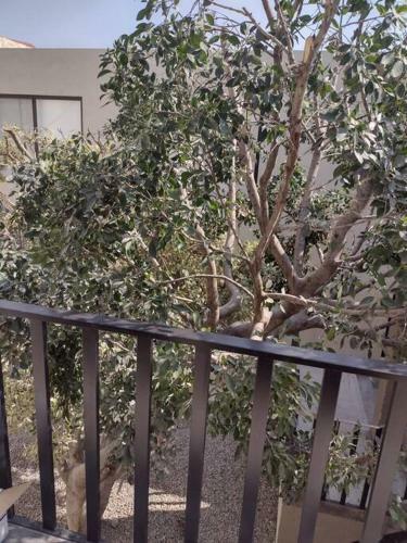 Apartamento +ms +loft Inmejorable +c�modo +internet 119f