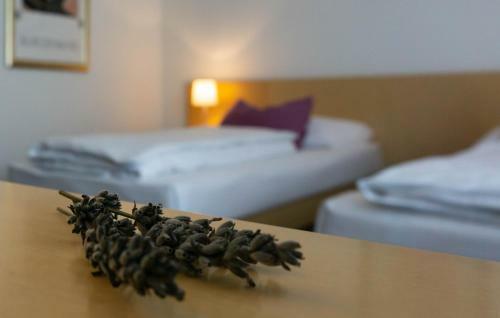 Hostal Kaplan Am Kurpark