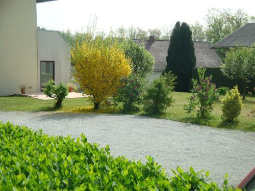 Bed & Breakfast Haus Camelia
