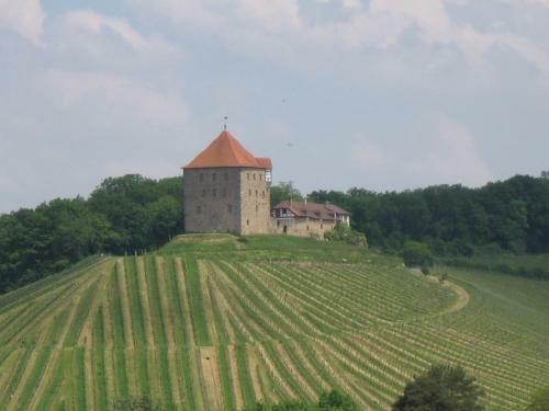 Apartamento G�steapartments Haus Kohler