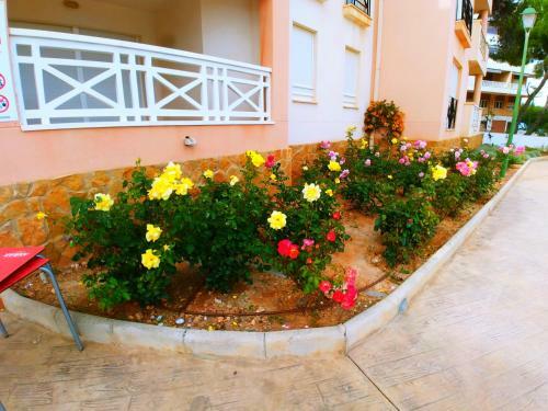 Apartamento Cala Puerto Azul -edison II