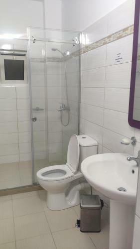 Vila Andoni