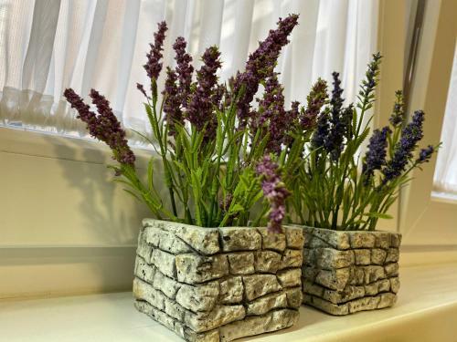 Hostal Apartments & Rooms Mostar Story
