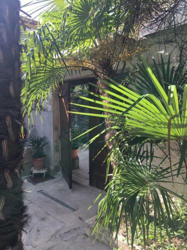 Apartamento Palmera