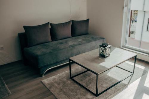 Apartamento Villa Hod?i?