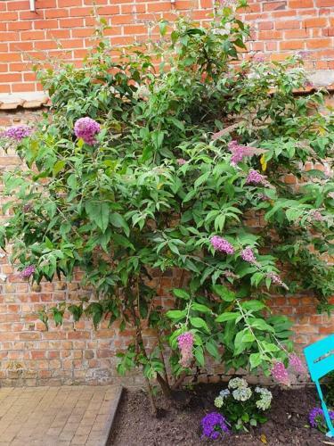 Apartamento Noordzeebries