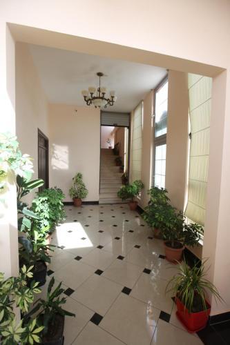 Hotel Kompleksi Ergen