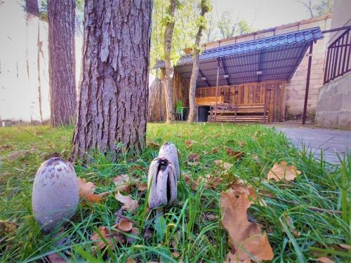 Apartamento Flat Garden