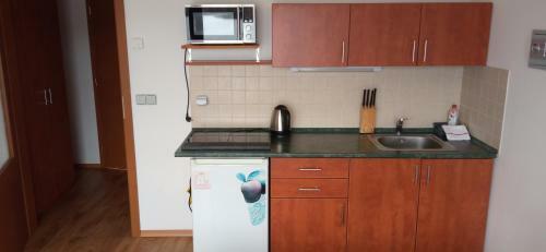 Hostal Penzion Ratm�r�k A Vin�rna U Raka
