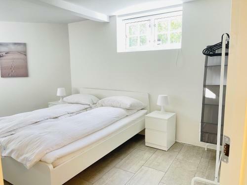 Hostal Aday - City Central Mansion - Privat Room