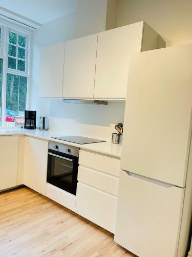 Aday - Aalborg Mansion - Big Apartment With Garden