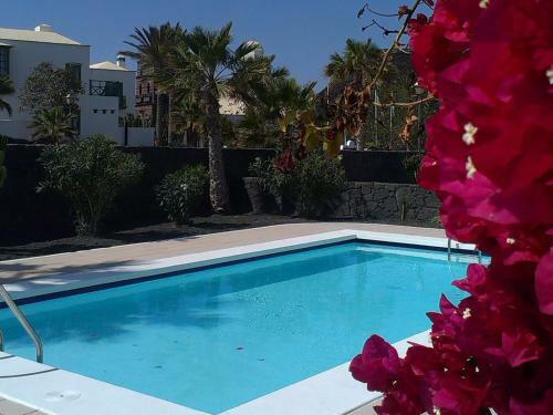 Ocean Dreams Marina & Spa Villages