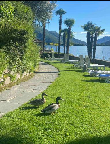 Apartamento Holidays On The Lake Lugano 112