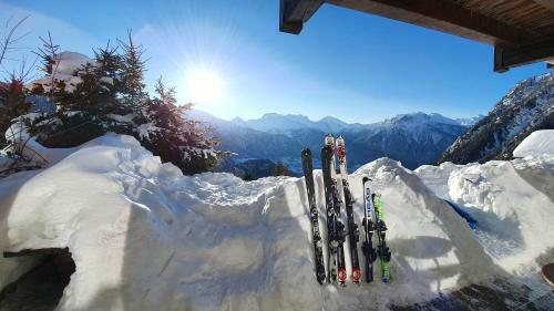 Chalet Baumfuchs Direkt An Der Talabfahrt Belalp