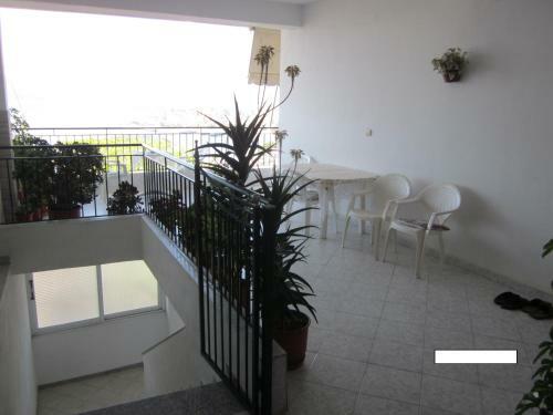 Hostal Guest House And Tavern Leo
