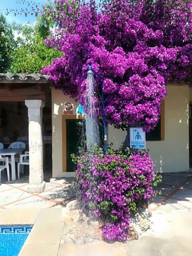 Finca L'hort de Can Bota,con Piscina Privada