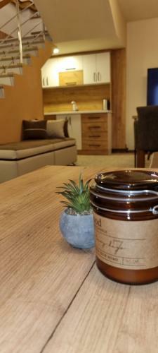 Apartman Zlatna Zita Pale
