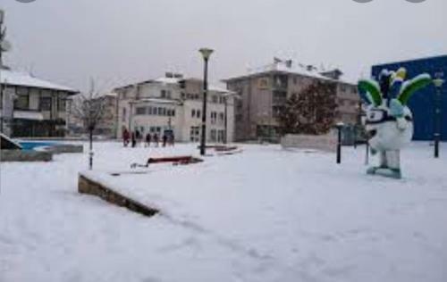 Apartman Drim