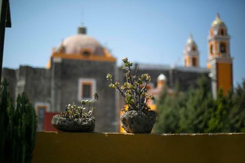 Apartamento Majikal B&B - Jacaranda