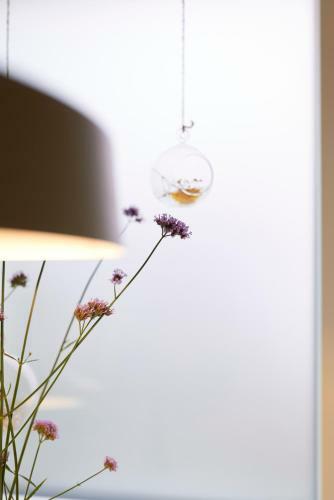 Apartamento Rotes Haus Bregenz Garten Wohnung
