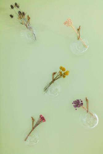 Apartamento Rotes Haus Bregenz Garten Wohnung