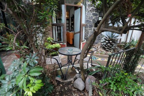 Apartamento Majikal B&B - Cuevita