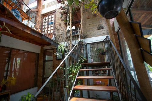 Apartamento Majikal B&B - Observatorio