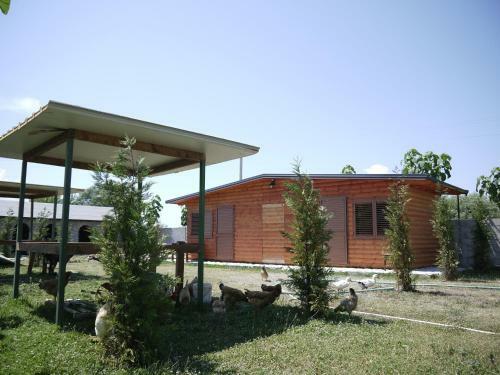 Windmill Shkodra Gesthouse Camping & Grill