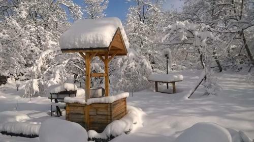 Cobalt Cottage