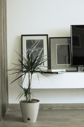 Apartamento Exclusive Design - Of Boulvard - Self Check-in