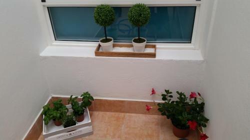 Apartamento Casa Bamb�