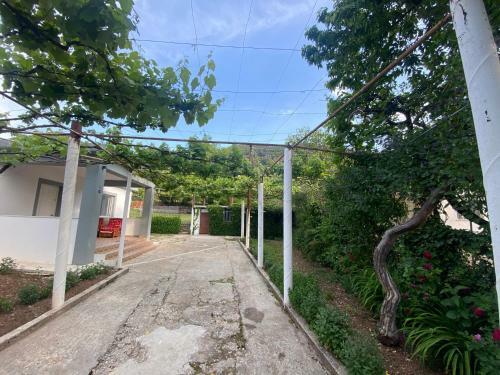 Hostal Progon House