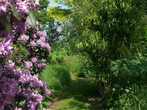 Bed & Breakfast Selatuinen