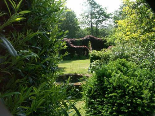 Bed & Breakfast Selatuinen