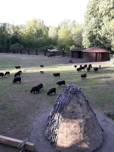 Agroturismo Zaguan