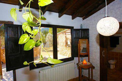 Apartamento Rio Indio Rural Home With Pool