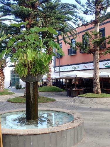 Apartamento Cerca de Playa Jard�n