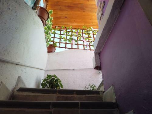 Casa Dionea, Puerto de La Cruz